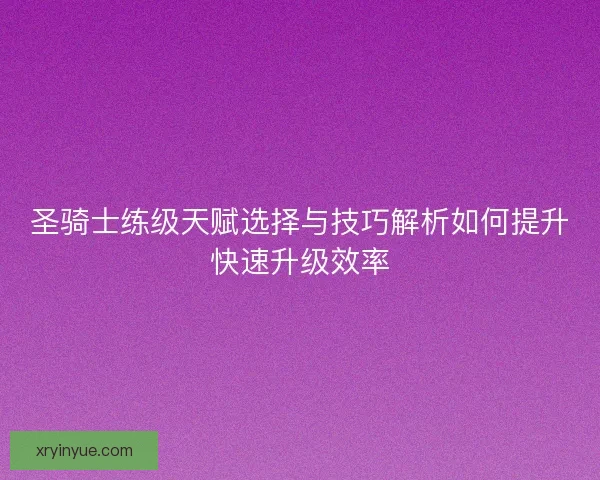 圣骑士练级天赋选择与技巧解析如何提升快速升级效率